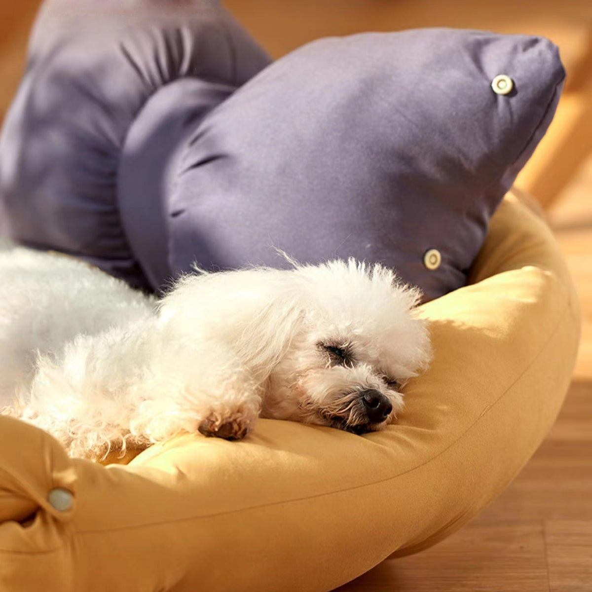 Dogs Nest Cushion Sofa