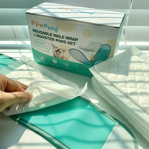 Reusable Male Wrap & Dog Diaper Liners Set – PawPang