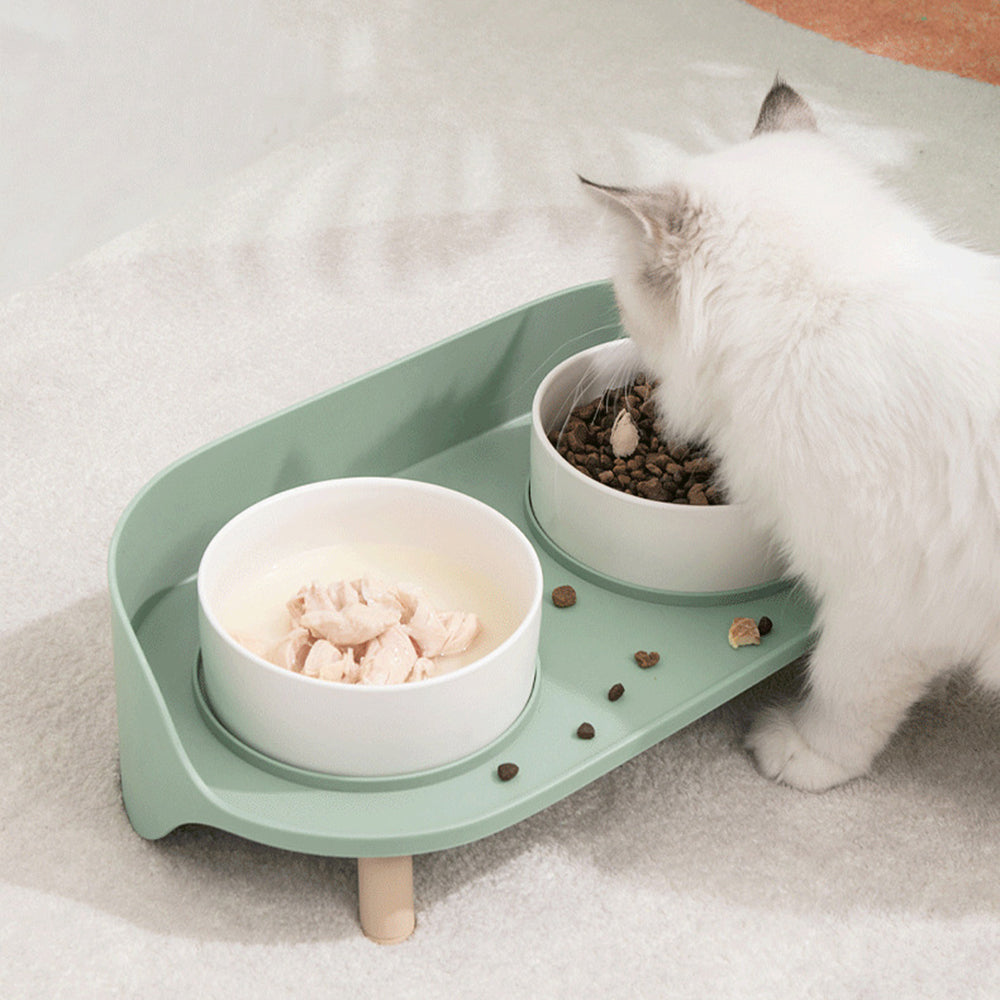 Dogs Cats Ceramic Feeding Bowl 1