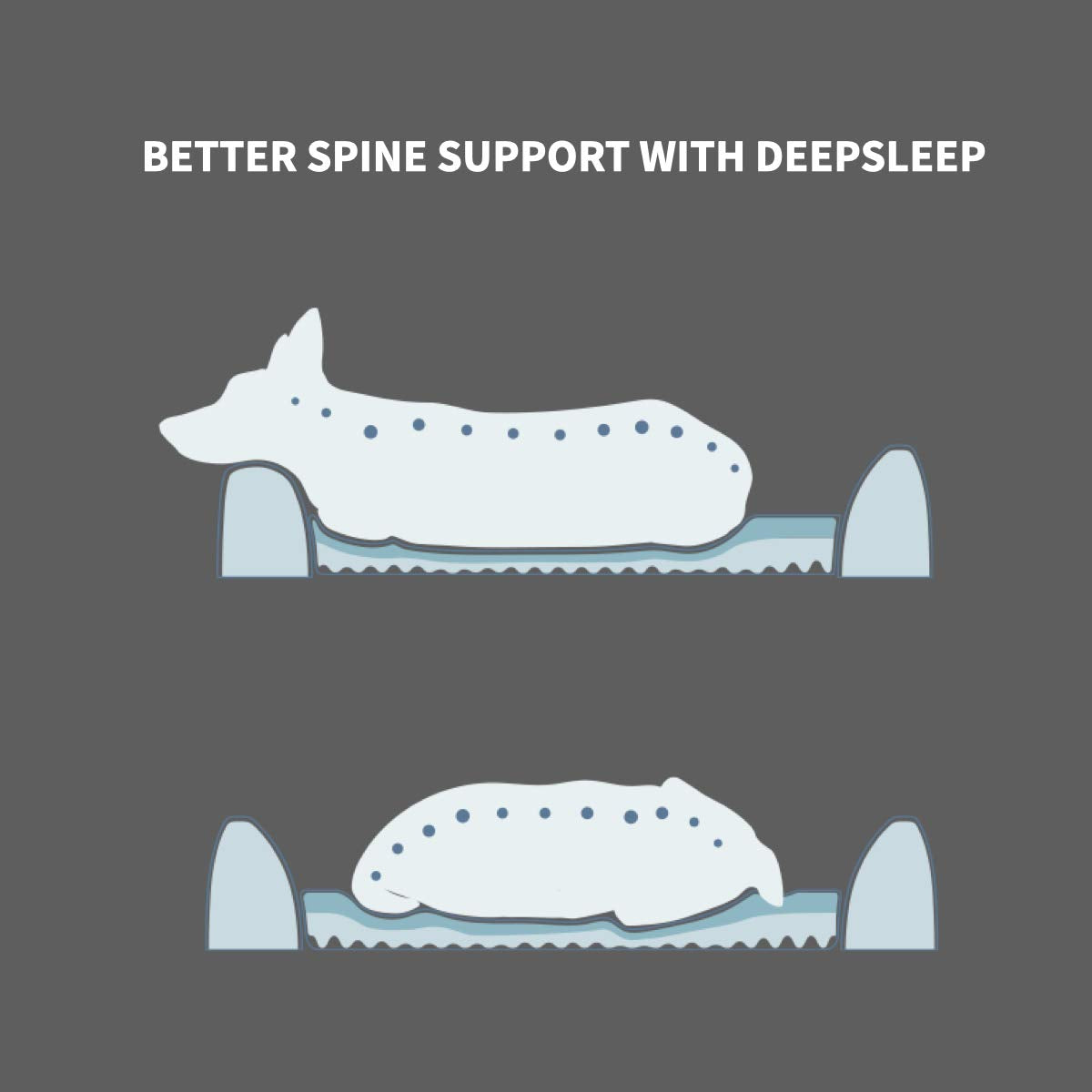 PETKIT Deep Sleep All Season Beds For Pet - Support Deepsleep