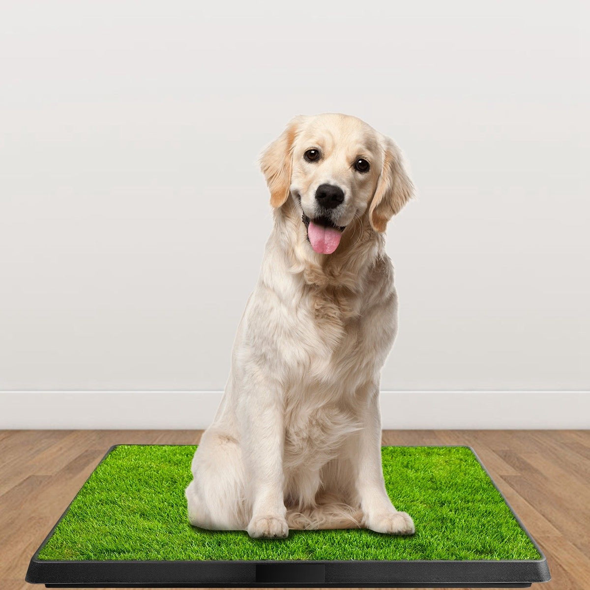 Pet Toilet Trainer Grass Mat for Puppy Potty Training - Main Image 9